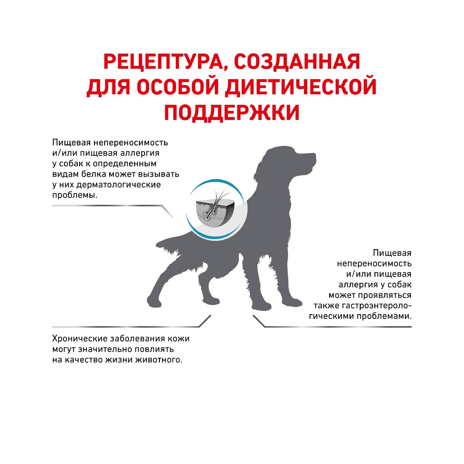 Корм для собак ROYAL CANIN Hypoallergenic DR21 с пищевой аллергией 2кг