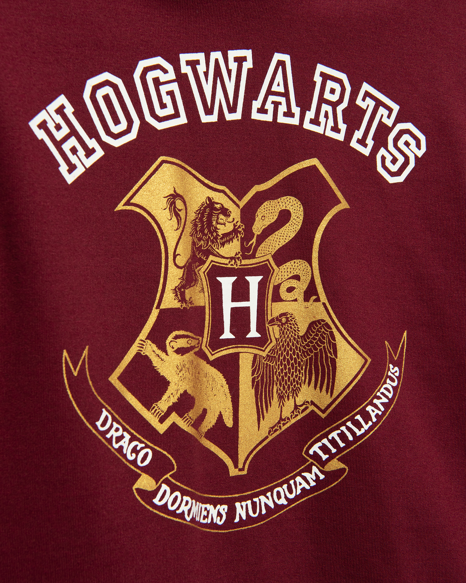 Худи Harry Potter W23LC3-F6C6055tg-D1 - фото 4