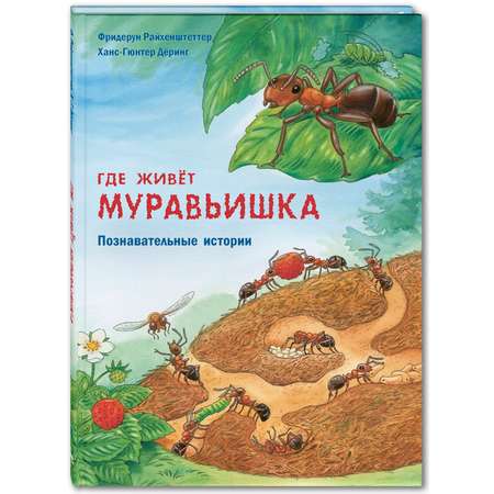 Книга Издательство Энас-книга Где живёт муравьишка Познавательные истории Райхенштеттер Давай познакомимся