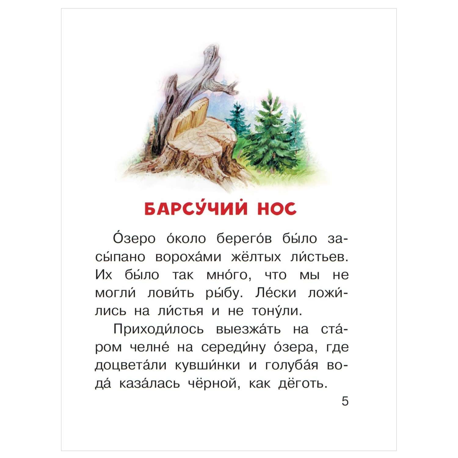 Книга барсучий нос