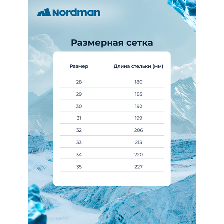 Ботинки Nordman