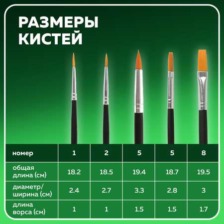 Кисти Brauberg 5шт блистер