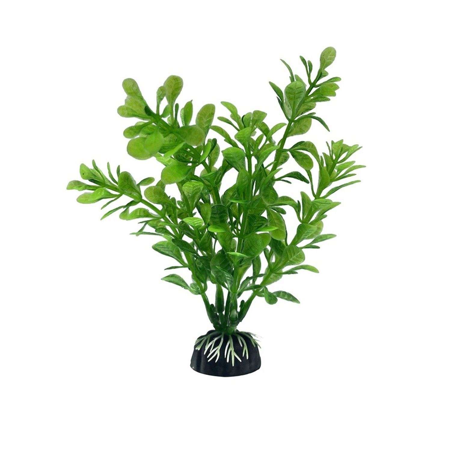 Аквариумное растение Rabizy водоросли 3х13 см - фото 1