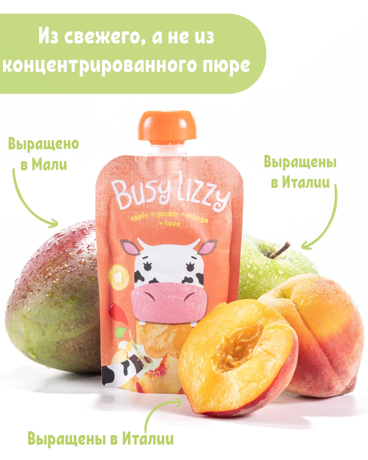 <b>Пюре</b> фруктовое Busy Lizzy с 6 месяцев микс из 5 вкусов 100г х 10 шт - фото ...