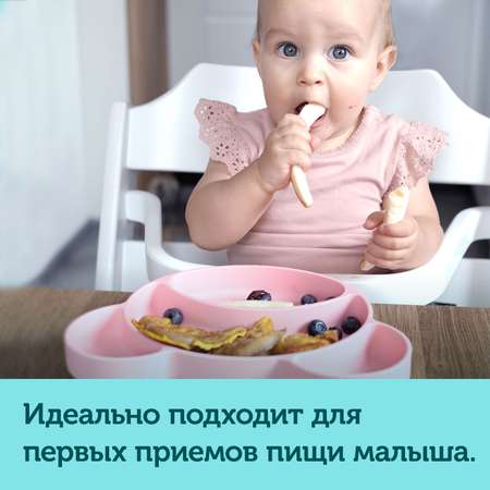 Тарелка Canpol Babies на присоске Bear Бирюзовый