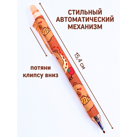 Ручки пиши стирай CANBI гелевые со стираемыми чернилами