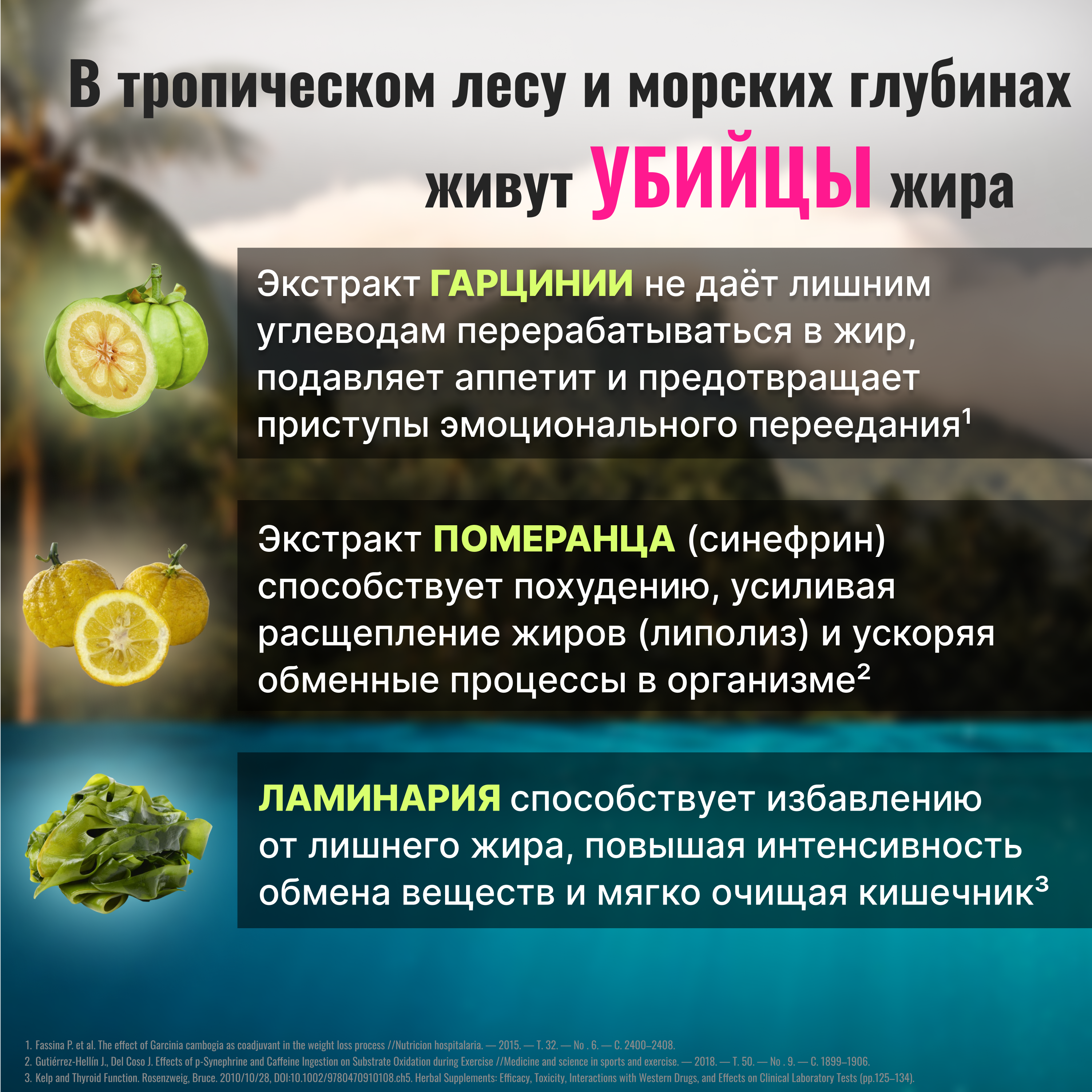 Жиросжигатель для контроля аппетита/ Доктор Море похудения/ снижения веса/ L-карнитин 60 капсул - фото 3