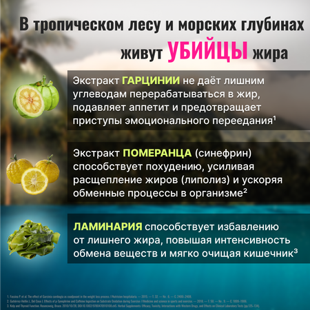 Жиросжигатель для контроля аппетита/ Доктор Море похудения/ снижения веса/ L-карнитин 60 капсул