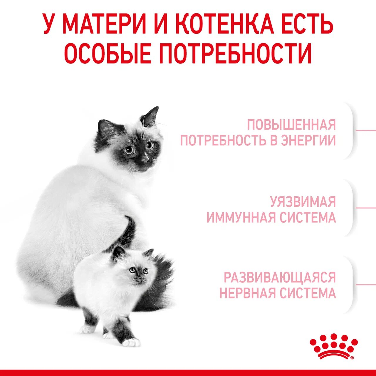 Сухой корм для кошек ROYAL CANIN 0.4 кг (полнорационный) - фото 7