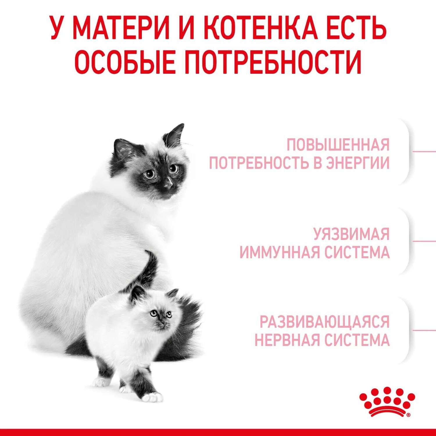 Корм для котят Royal Canin Mother and Babycat 400г - фото 7