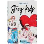 Книга Stray Kids Блокнот формат А5 128 страниц цветной блок мягкая обложка серая