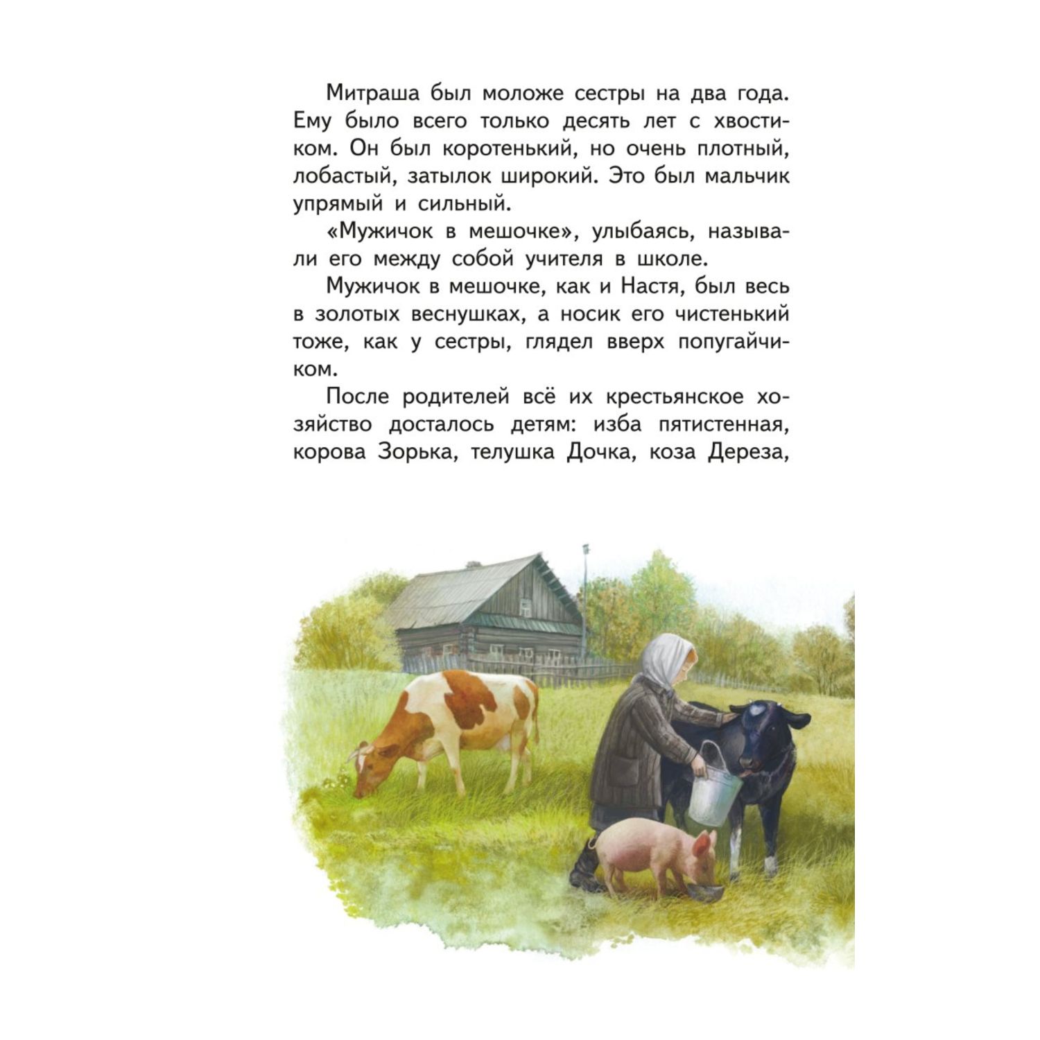 Книга Кладовая солнца иллюстрации Дударенко - фото 3