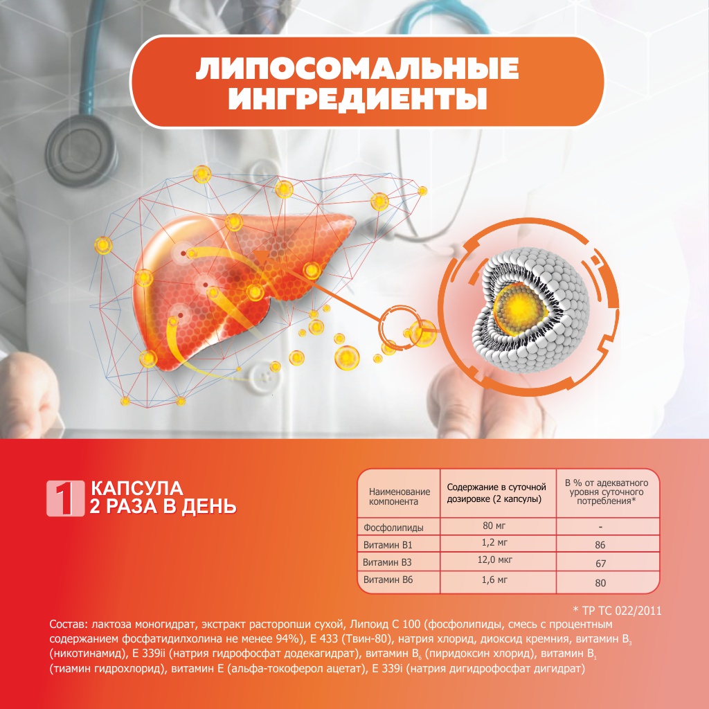 БАД VECTOR-MEDICA Гепатолипинт Для защиты печени, капсулы 209 мг №60 - фото 3