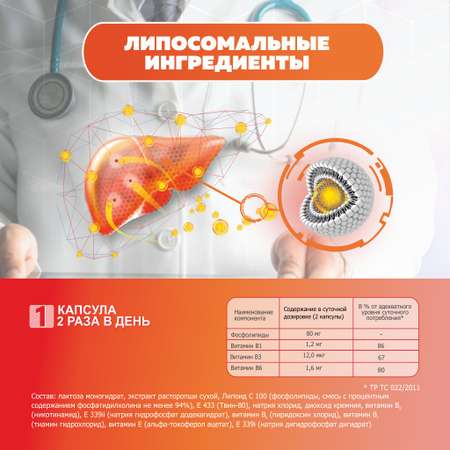 БАД VECTOR-MEDICA Гепатолипинт Для защиты печени, капсулы 209 мг №60