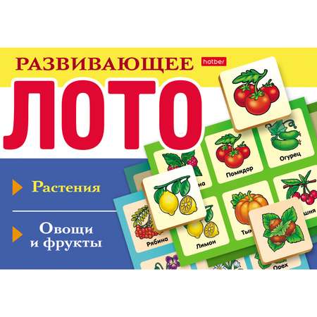 Настольная игра Hatber Лото