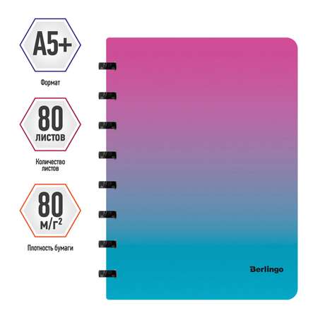 Бизнес-тетрадь Berlingo Radiance А5+ 80 листов клетка на кольцах 80г/м2 пластиковая обложка 700мкм розовый/голубой