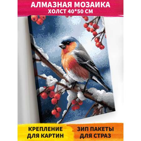 Алмазная мозаика Art on Canvas Снегирь холст на подрамнике 40*50