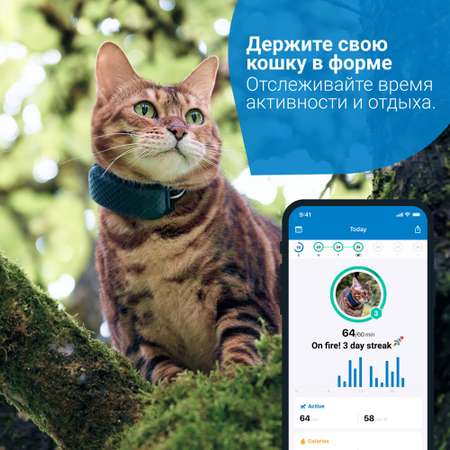 Трекер для кошек Tractive GPS Cat 4 LTE