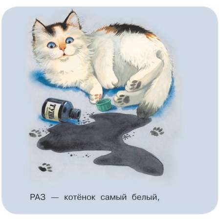 Книга АСТ Котята