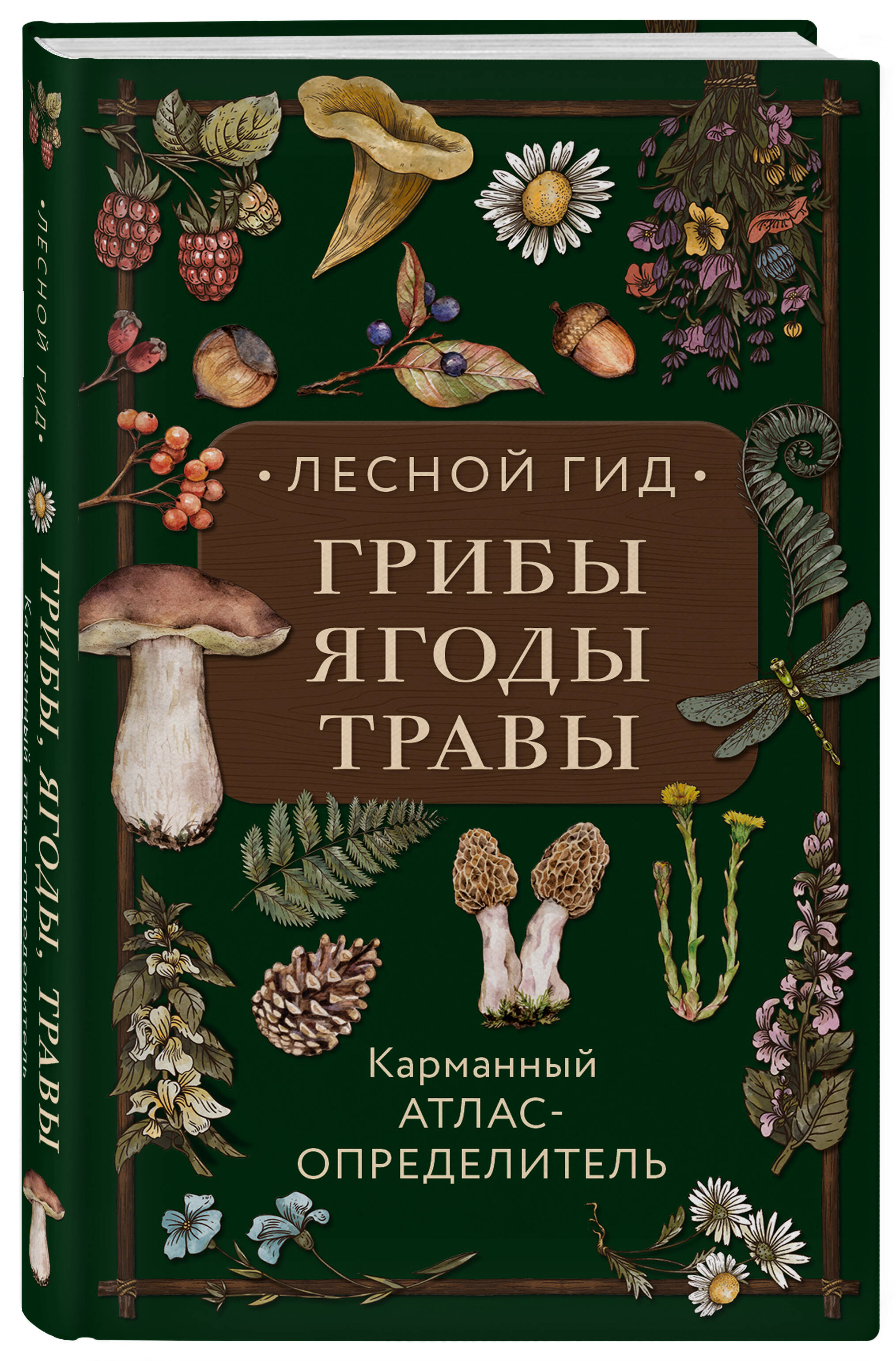 Книга Эксмо Лесной гид грибы ягоды травы Карманный атлас определитель