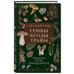 Книга Эксмо Лесной гид грибы ягоды травы Карманный атлас определитель