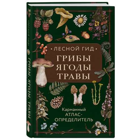 Книга Эксмо Лесной гид грибы ягоды травы Карманный атлас определитель