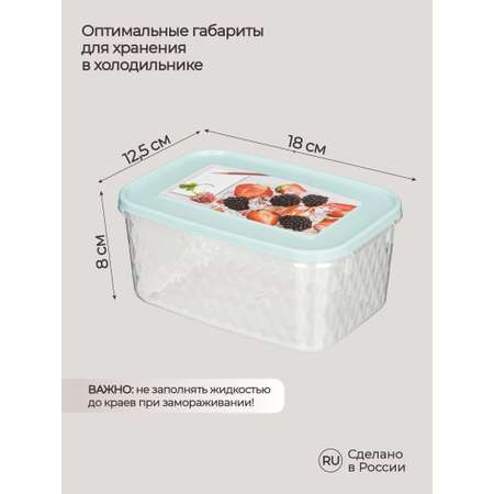 Контейнер Phibo для замораживания и хранения продуктов с декором Кристалл 1.3 л светло-голубой