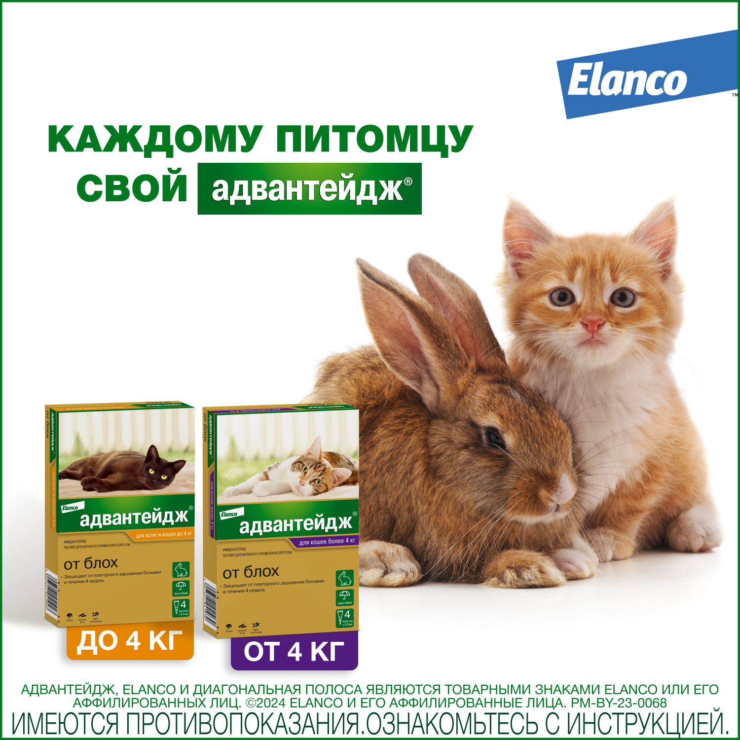 Капли для котят и кошек Elanco Адвантейдж против блох 1пипетка - фото 12