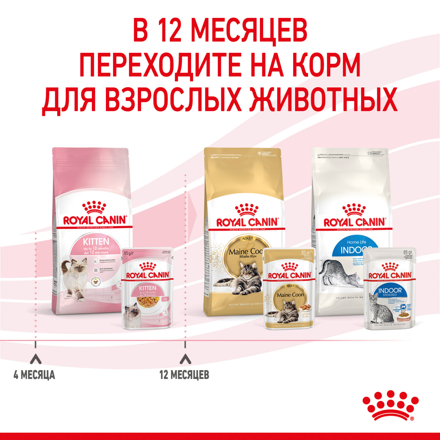 Корм влажный для котят ROYAL CANIN Kitten Instictive 85г желе пауч 77850 - фото 10