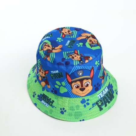 Панама Paw Patrol