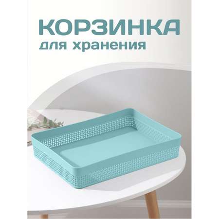 Корзина plast team для хранения голубая