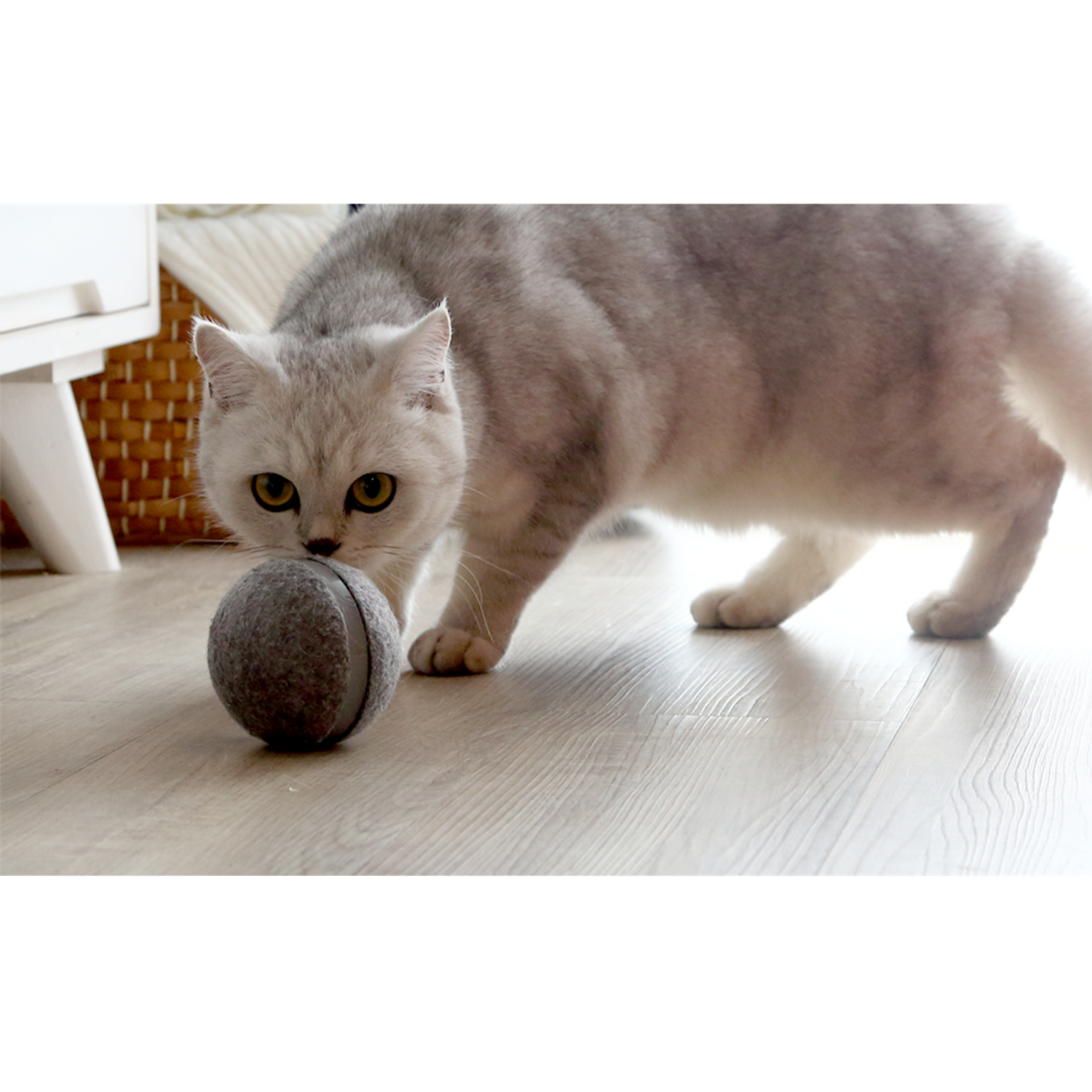 Интерактивная игрушка Cheerble мячик-дразнилка для кошек Cheerble Wicked Ball Серый - фото 4