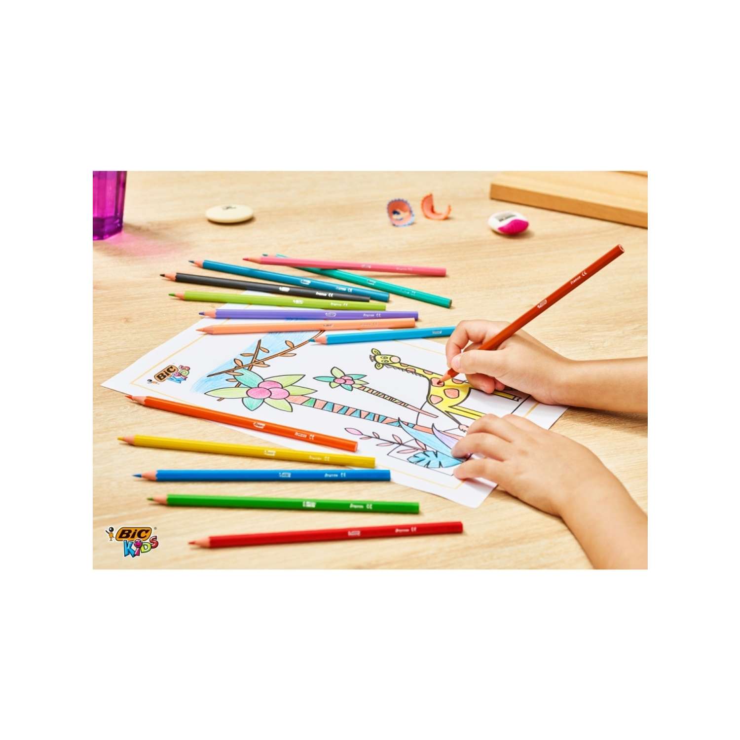 Карандаши цветные BIC Kids Tropicolors 12 цветов - фото 2