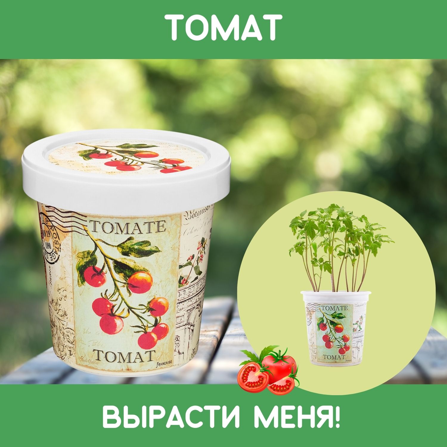 Набор для выращивания растений Rostok Visa Вырасти сам Томат в подарочном горшке - фото 1