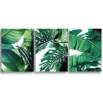 Комплект картин на холсте LOFTime Тропические растения 30*40