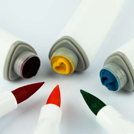 Фломастеры-кисти 12 цветов Darvish со штампами в пластиковом футляре для рисования
