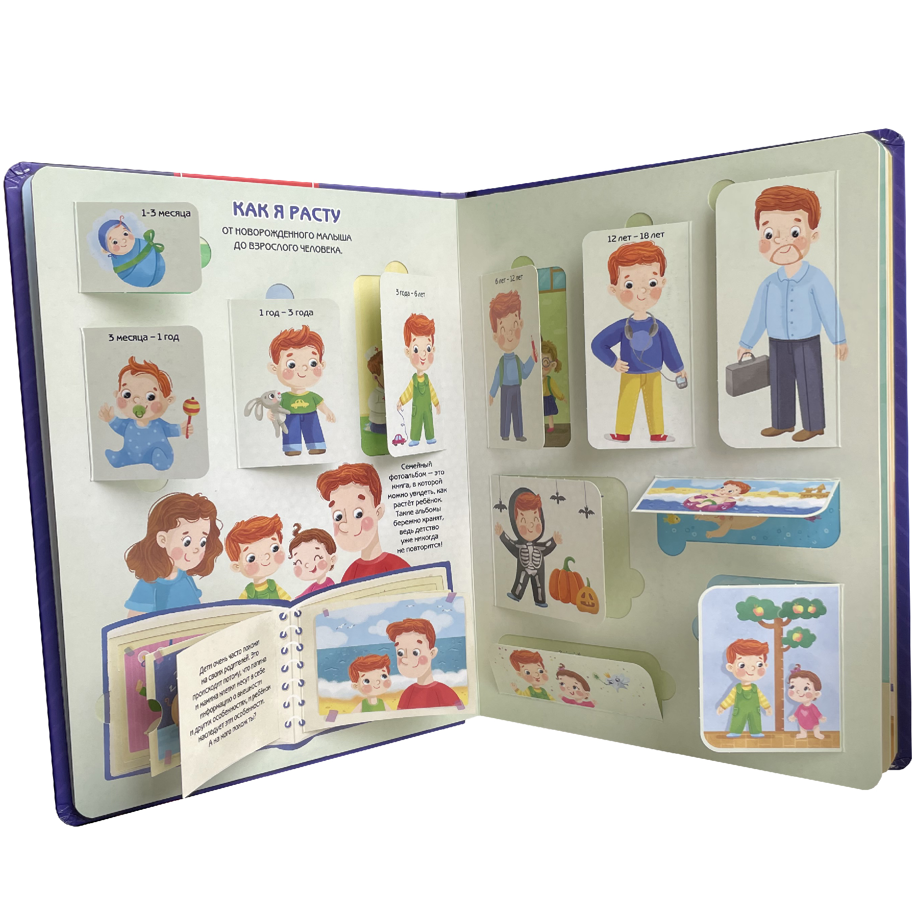 Детские книги с окошками BimBiMon Набор энциклопедий про тело человека и Как я расту - фото 7