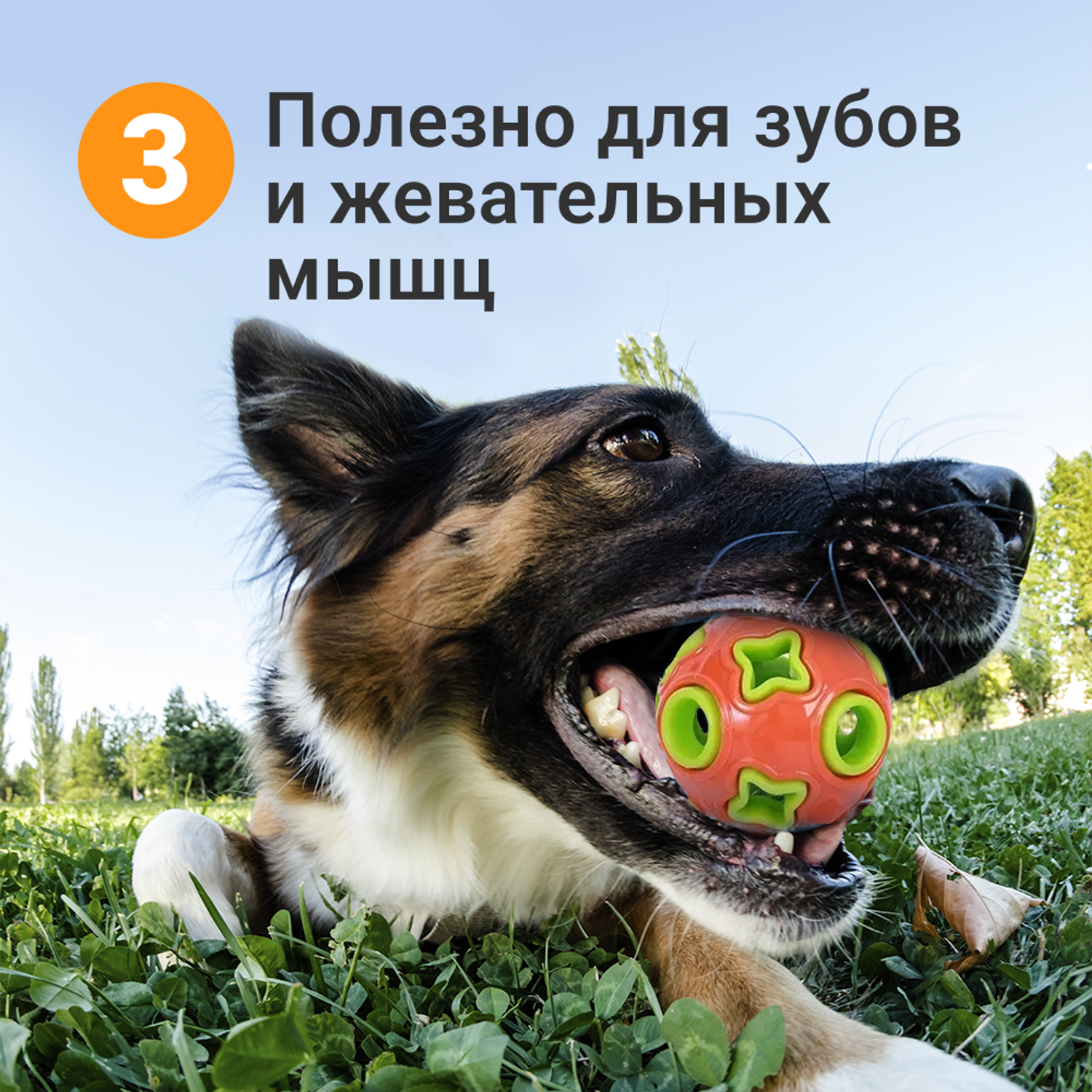 Игрушка мяч дозирующий корм ZDK Для собак ZooWell Play с колокольчиком оранжевый - фото 5
