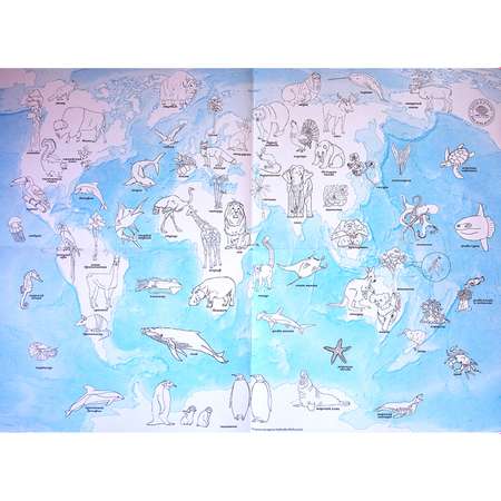 Карта-раскраска Атлас Принт Животные и растения на карте мира