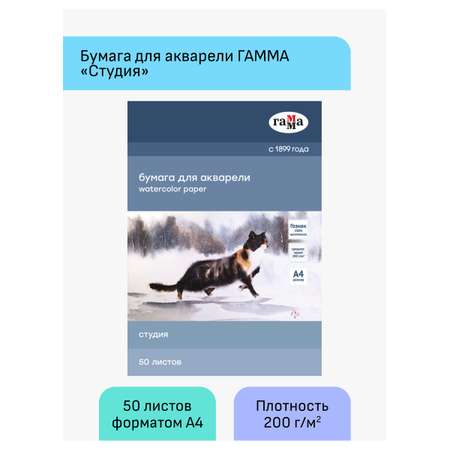 Папка для акварели Гамма 50л. А4 Студия 200г/м2 среднее зерно