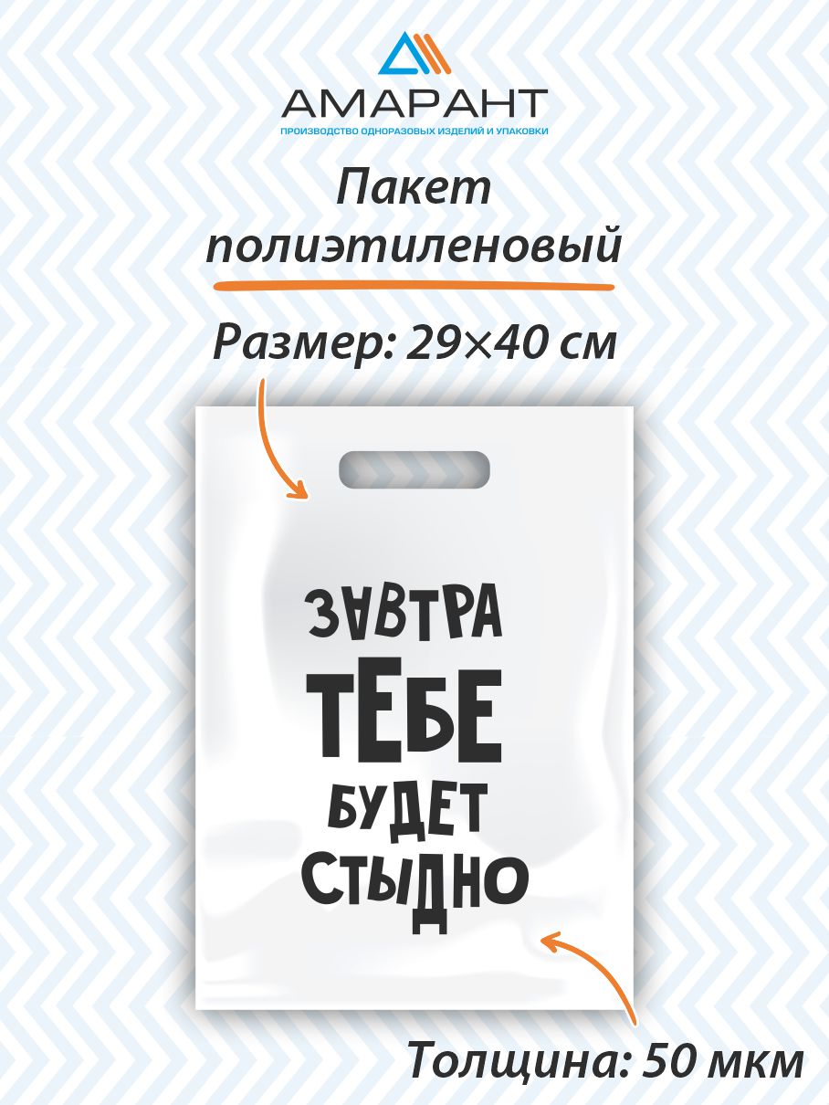 Пакет Амарант подарочный Завтра тебе будет стыдно 1 шт - фото 1