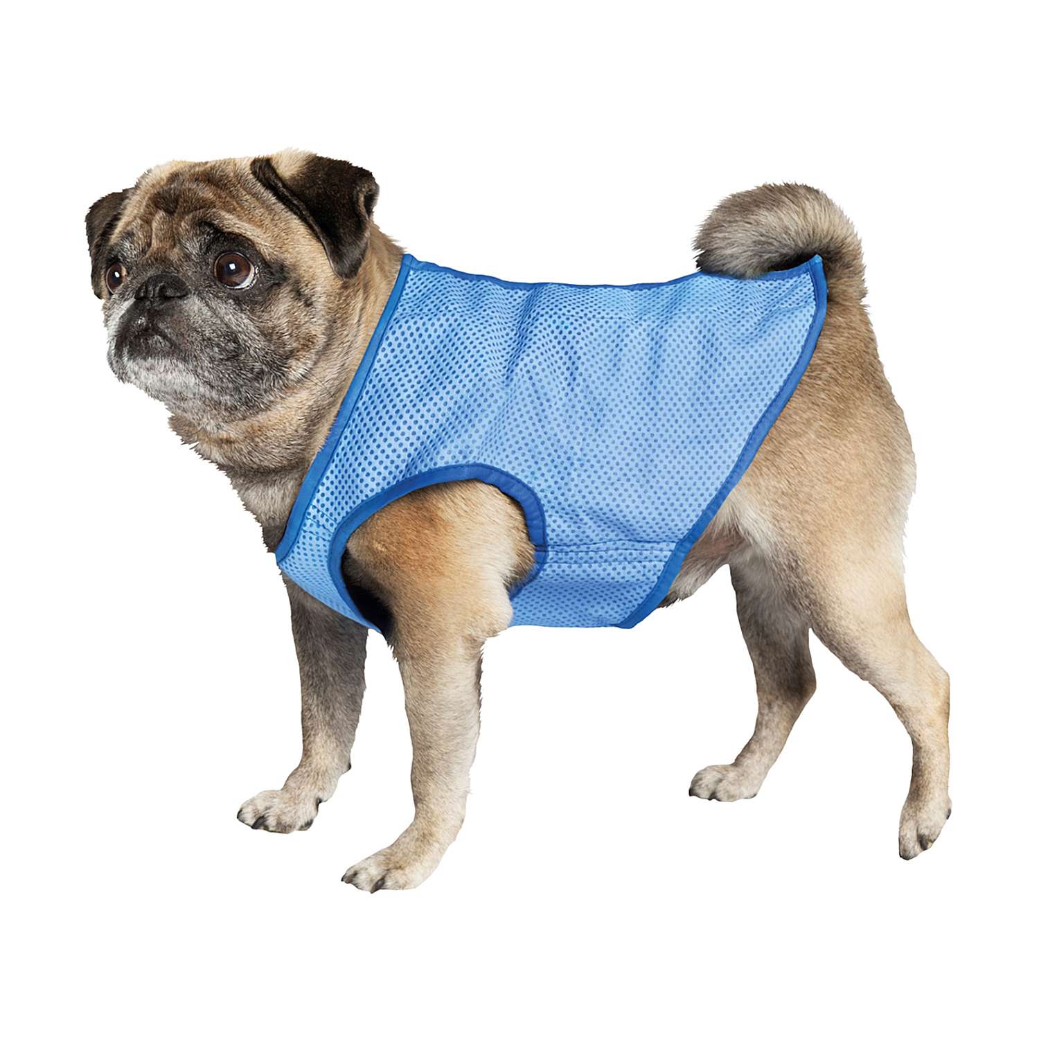 Petsmart discount cooling vest