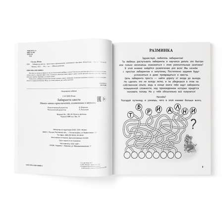 Книга Феникс Лабиринты квесты много много приключений головоломок и запутаниц