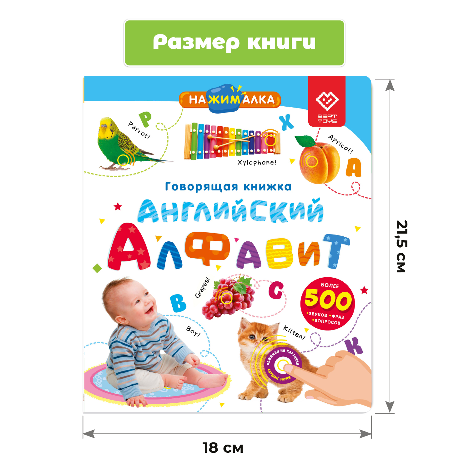 Говорящая книжка Нажималка BertToys Английский алфавит