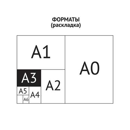 Папка школьная Спейс для чертежей и рисунков А3 черный пластик на молнии