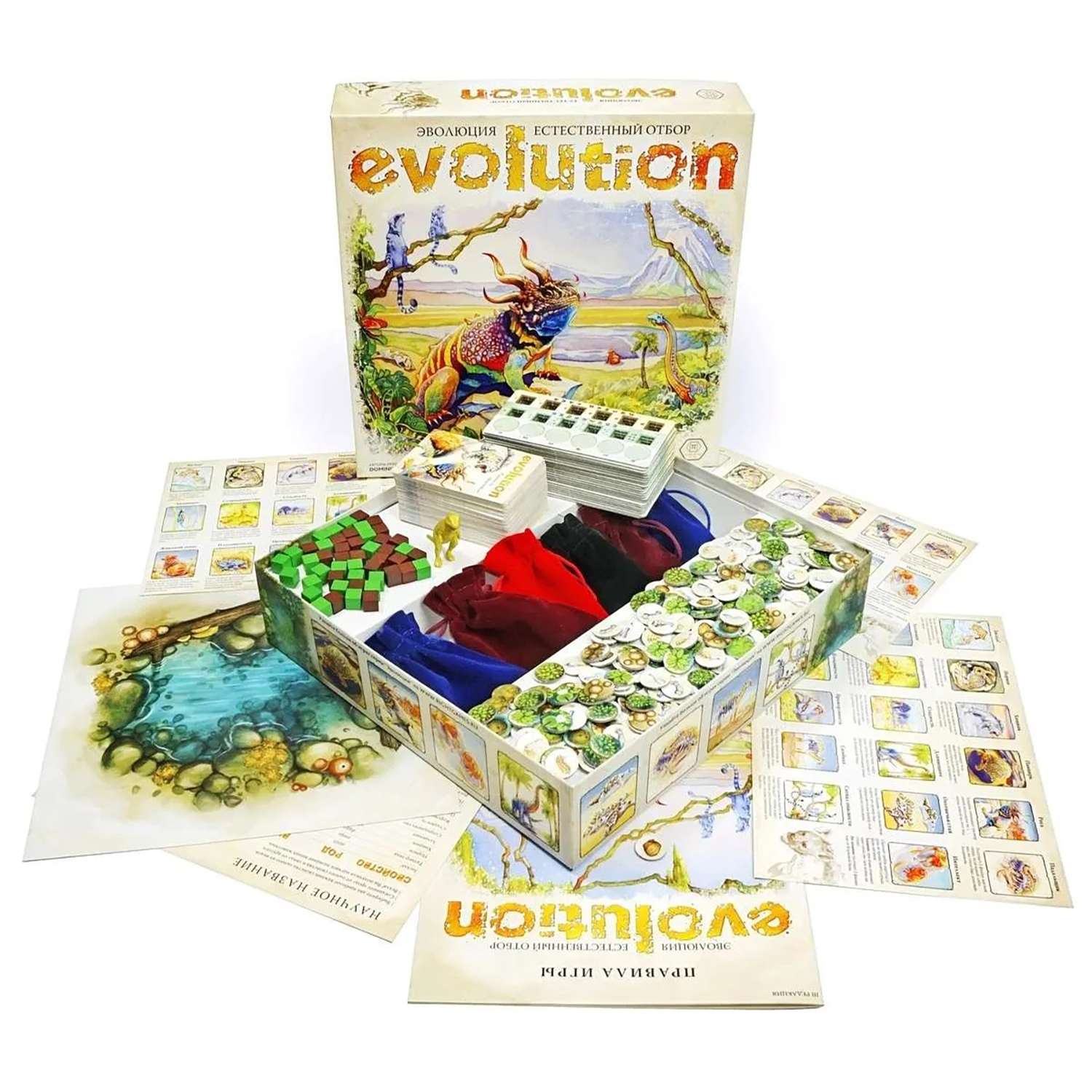 Игра новые эволюция. Evolution настольная игра. Игра Эволюция естественный отбор. Игра Эволюция настолка. Настольная игра правильные игры 13-03-01 Эволюция. Естественный отбор.