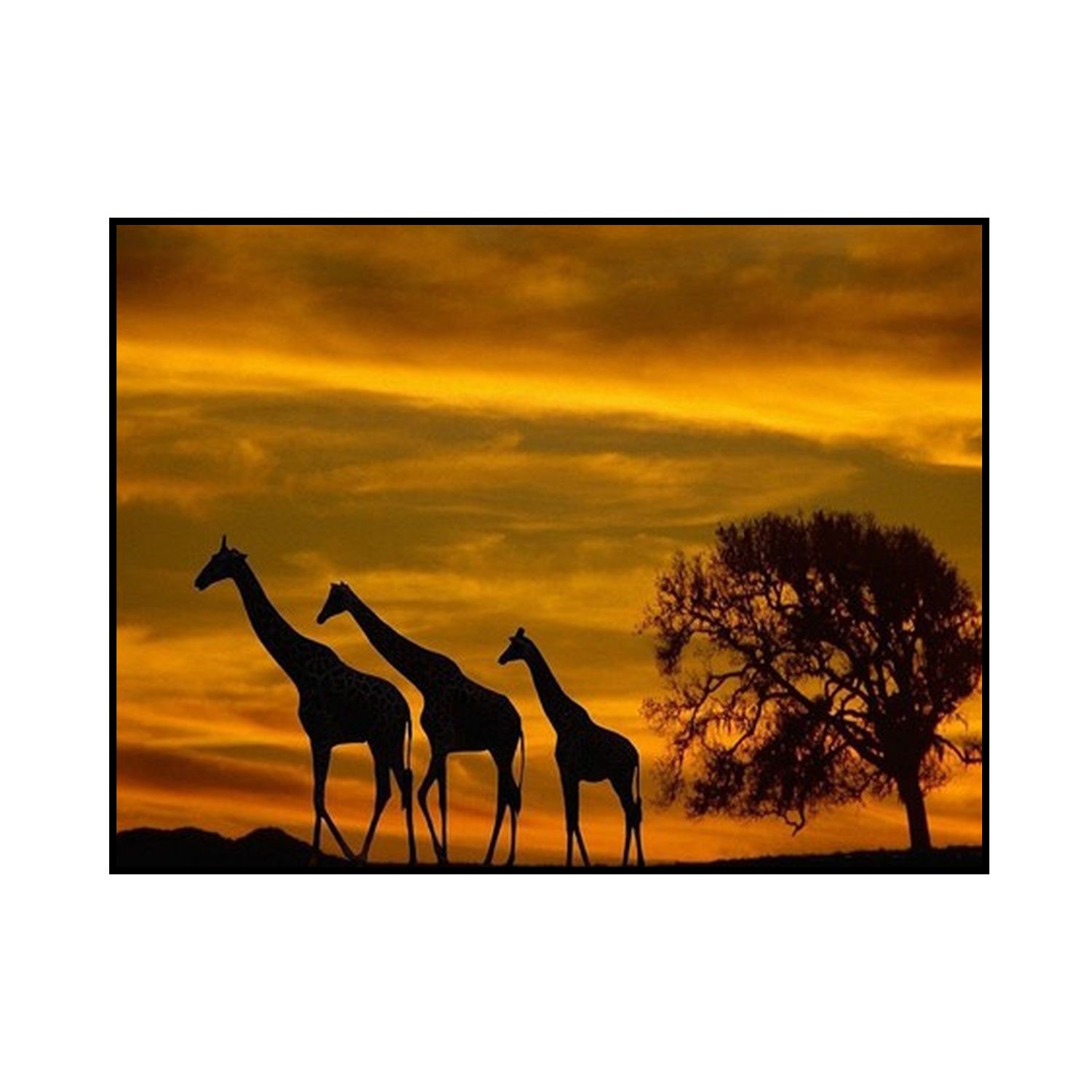 Алмазная мозаика Seichi Жирафы на закате 40х50 см - фото 2