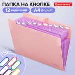 Папка-органайзер Brauberg А4