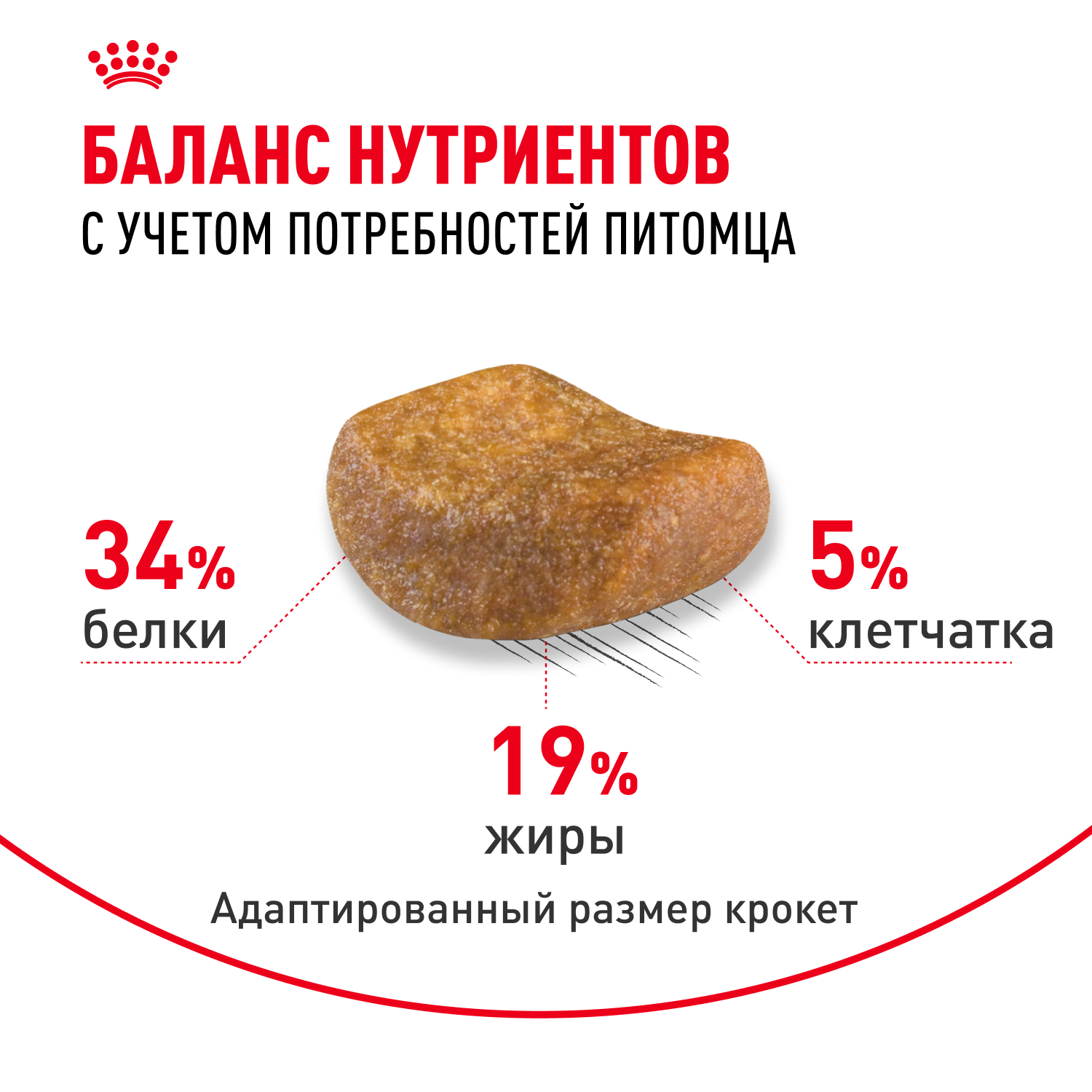 Корм сухой для кошек ROYAL CANIN British Shorthair 4кг британской короткошерстной породы - фото 5