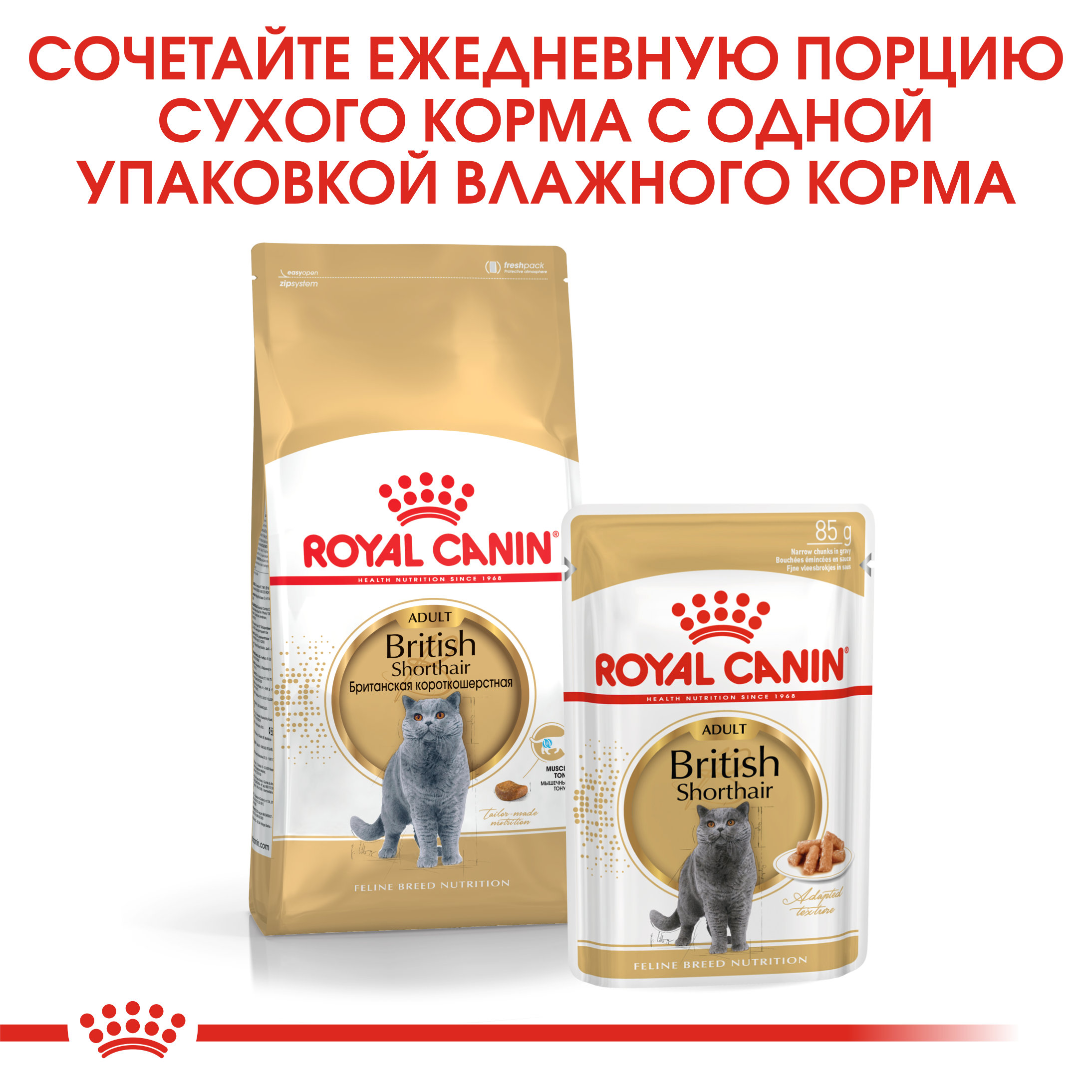 Влажный корм ROYAL CANIN British Shorthair для британских кошек 85 г в пауче - фото 4